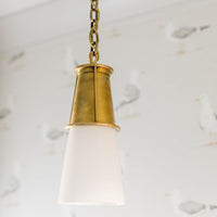Robinson Pendant