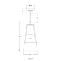 Robinson Pendant