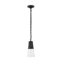 Robinson Pendant