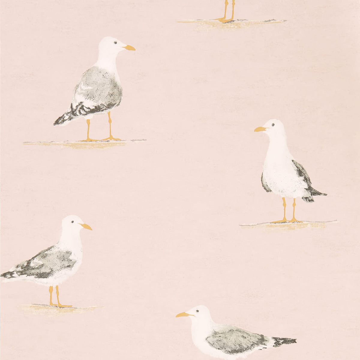Shore Birds Wallpaper