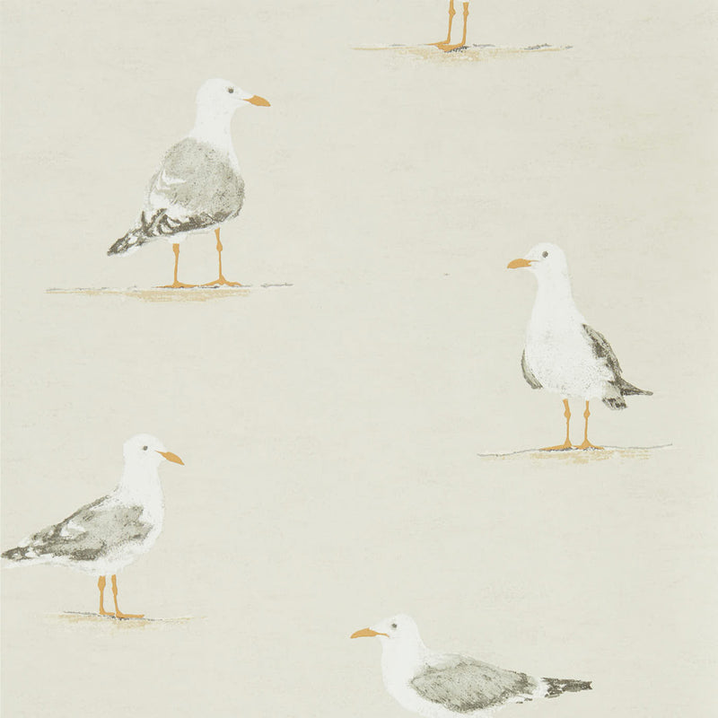 Shore Birds Wallpaper